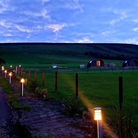 Lilly'S Lodges Orkney Hedgehog Lodge Finstown Ngoại thất bức ảnh
