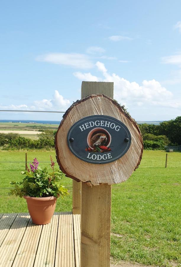 Lilly'S Lodges Orkney Hedgehog Lodge Finstown Ngoại thất bức ảnh