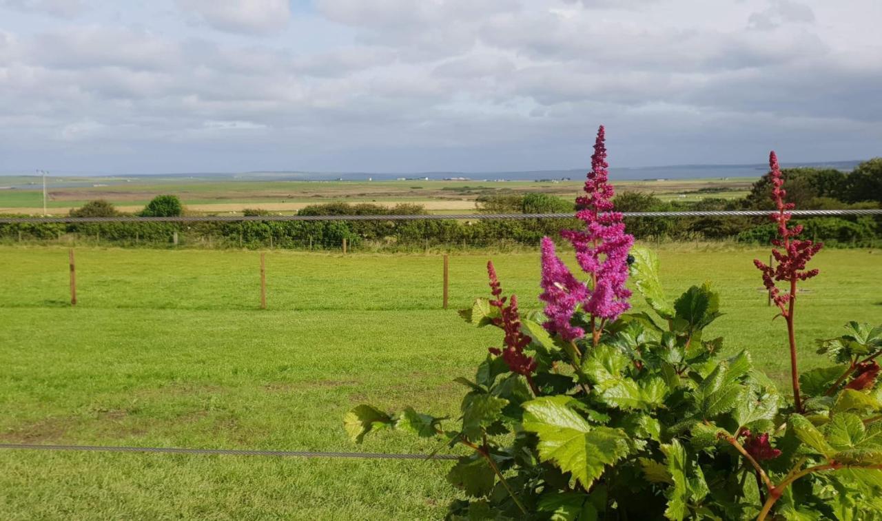 Lilly'S Lodges Orkney Hedgehog Lodge Finstown Ngoại thất bức ảnh