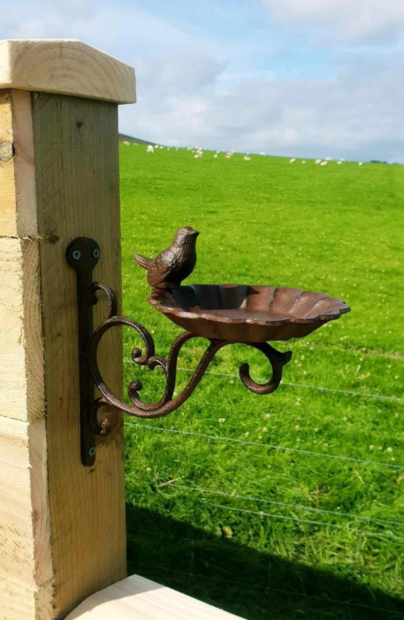 Lilly'S Lodges Orkney Hedgehog Lodge Finstown Ngoại thất bức ảnh
