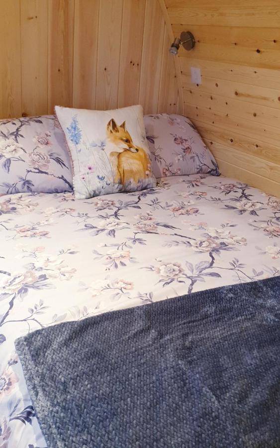 Lilly'S Lodges Orkney Hedgehog Lodge Finstown Ngoại thất bức ảnh
