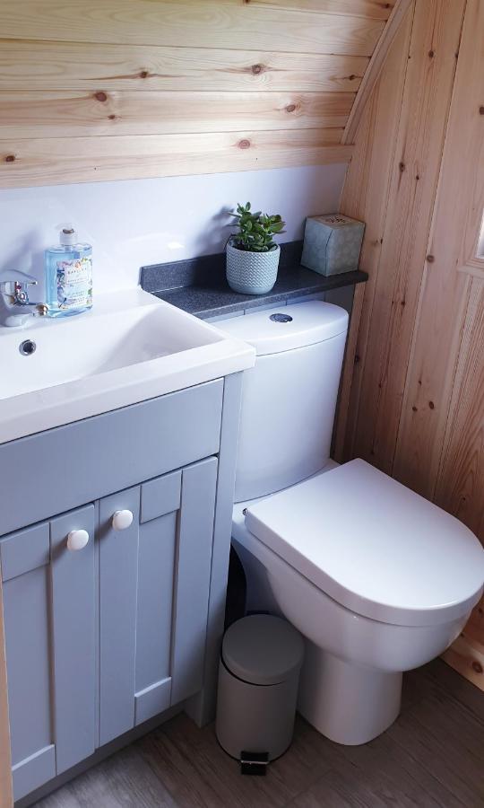 Lilly'S Lodges Orkney Hedgehog Lodge Finstown Ngoại thất bức ảnh